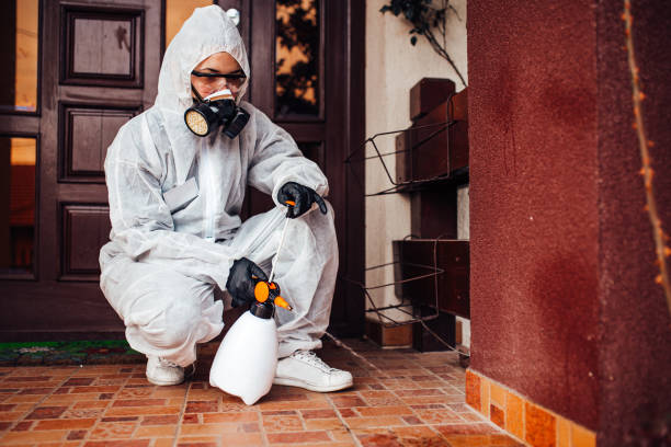 Reliable Cockroach Control contractor in Buchanan, VA by Nex Pest Control