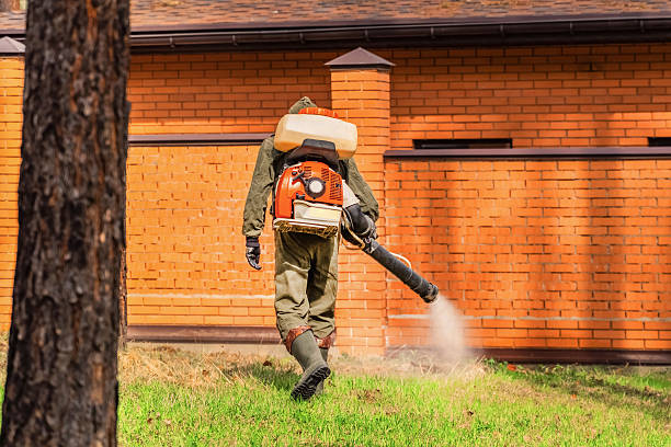 Top rated local Cockroach Control specialists in Buchanan, VA